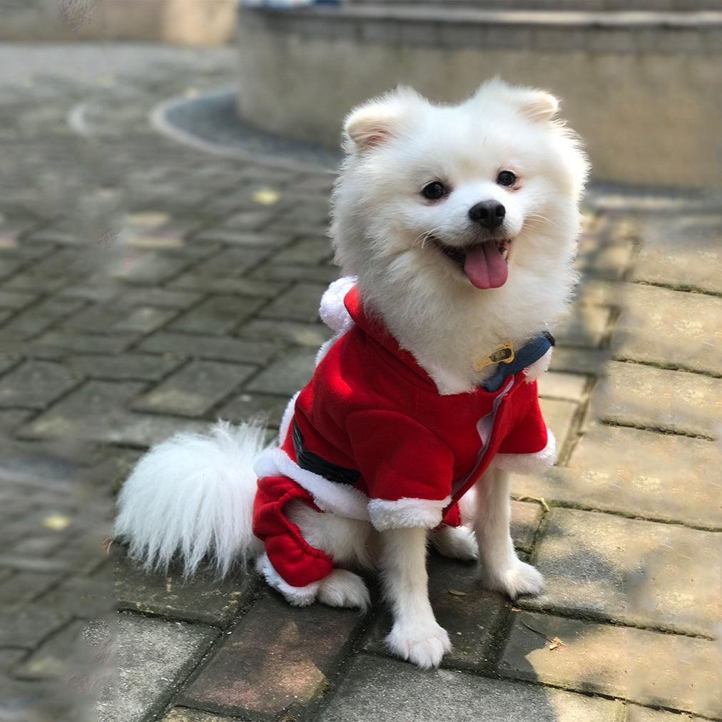 Cozy Christmas Pet Sweater: Warmth And Style For Your Furry Friend-3